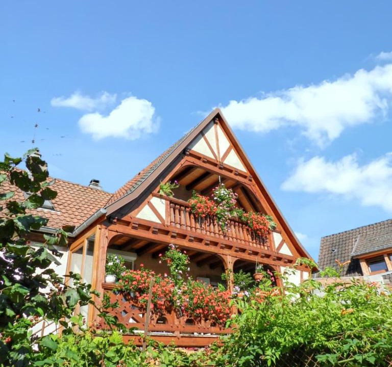 Triembach-au-Val House | Maison charmante avec vue sur la montagne à Triembach-au-Val