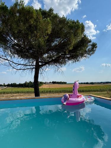 Lectoure House | Maison sur Coline