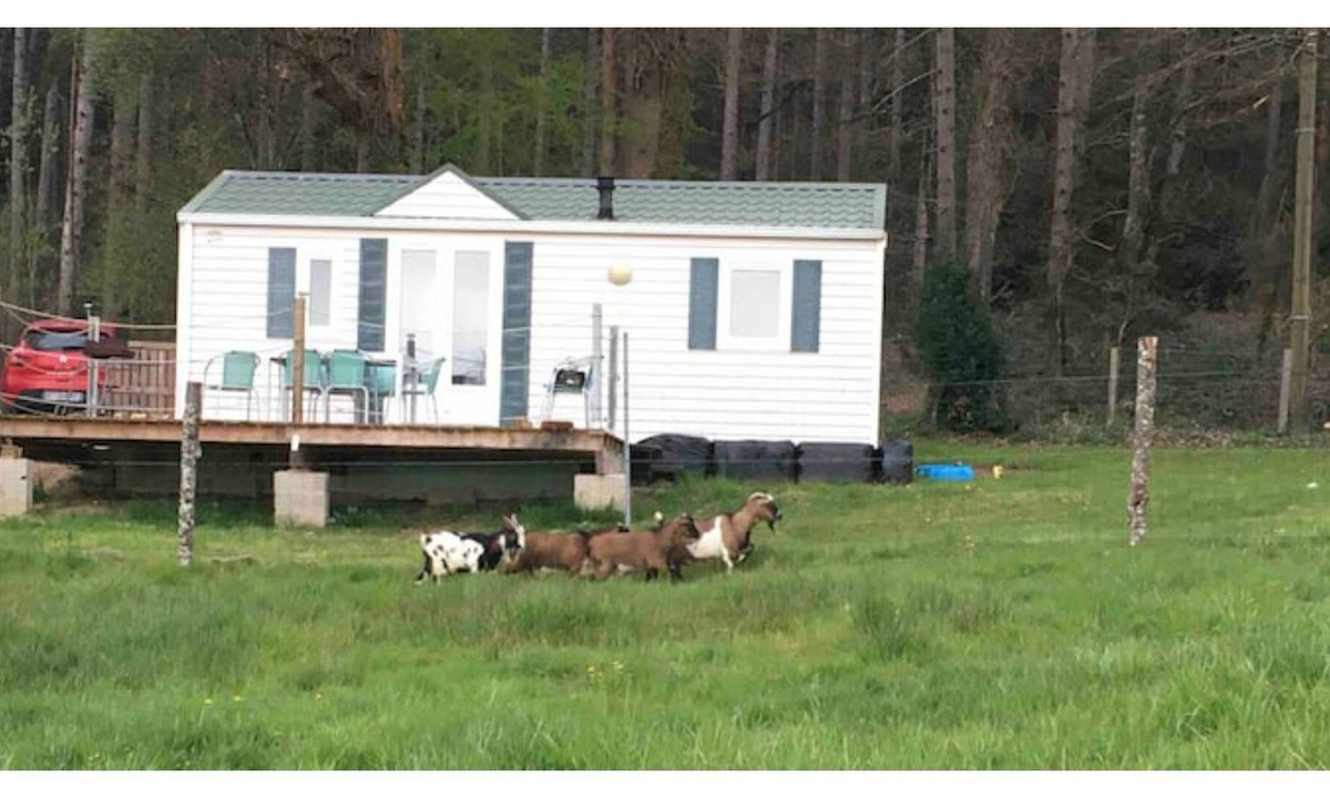 Gages House | Mobile home in ANIMAL PARK in Aveyron