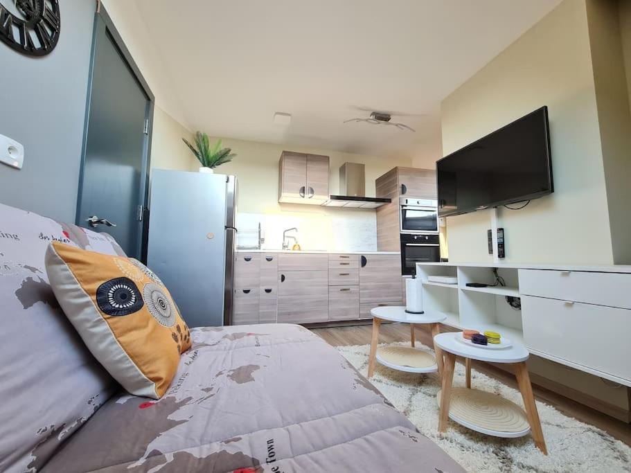 Saint-Die Apartment | Modern Design & SPA