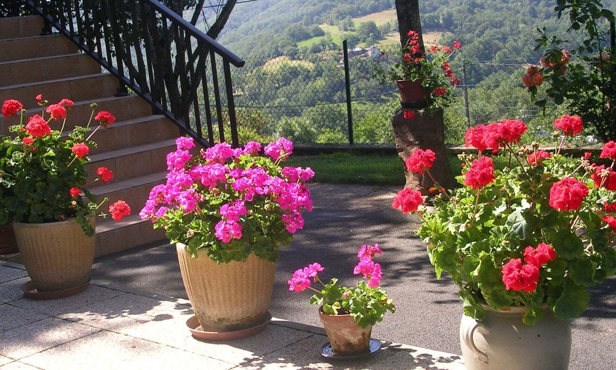 Espalion Apartment | Nice Studio 33 m² in Espalion Occitanie at the gates of Aubrac