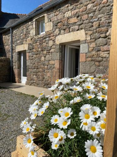 Belle-Isle-en-Terre House | Penty breton