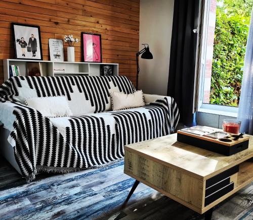 Saint-Pierre - Rene II - Bonsecours Apartment | Proche de Nancy centre, appart cinéma rénové avec parking gratuit, frais en été