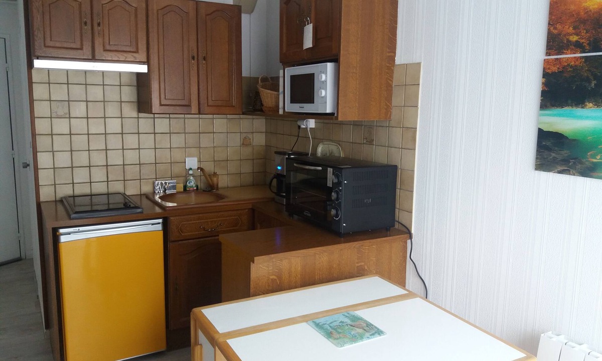 Bagneres-de-Luchon Apartment | quiet studio downtown with garage