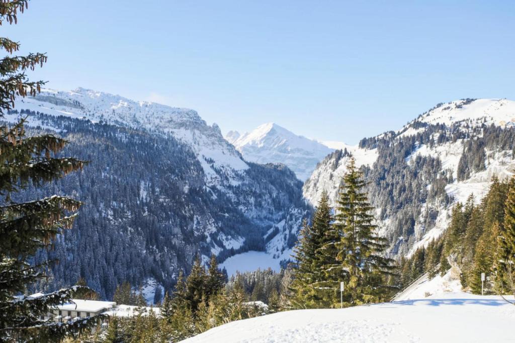 Flaine Apartment | Résidence Capricorne - maeva Home - Studio 4 Personnes - Budget MAE-3836