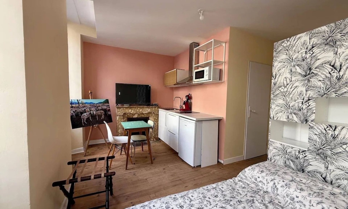 Lourdes Apartment | Renovated studio in Lourdes - Rue de la Grotte, near the Sanctuary and the Pyrenees