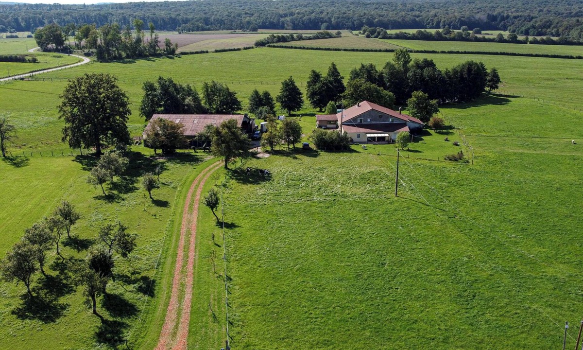 Claudon House | Spacious cozy and pet friendly Gîte (6pers with 3 bdrms/2 baths/3 toilets).