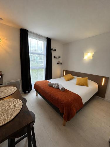Rives de Meurthe Apartment | Studio le petit cozy