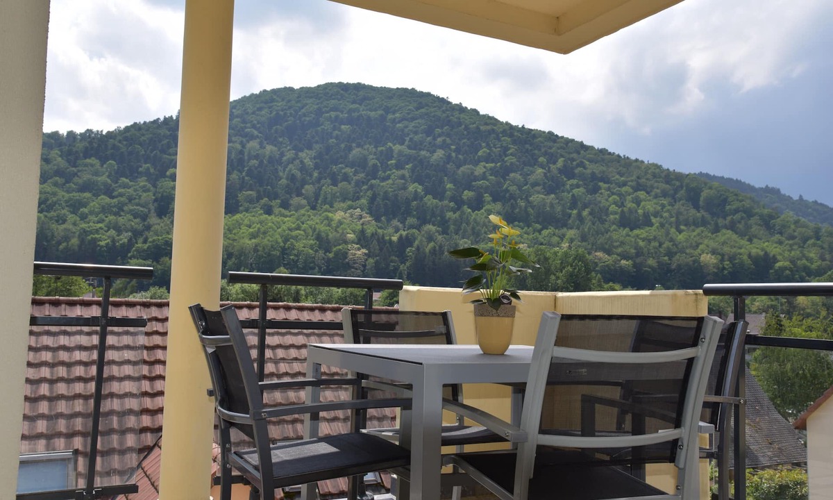Kaysersberg Apartment | Superb apartment in a quiet residence with mountain views