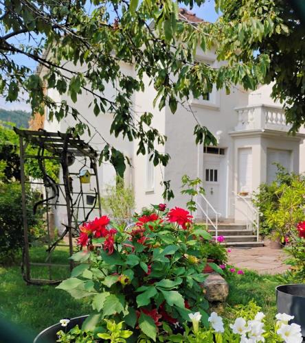 Chatenois Apartment | Villa Le Marronnier, clim, Terrasse, Parking & Spa privé, calme, entre Colmar-Riquewihr et Obernai, Route des vins d'Alsace