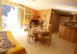 Appart. central 6/7 pers. à Bagnères-de-Luchon avec parking et animaux admis - FR-1-313-171