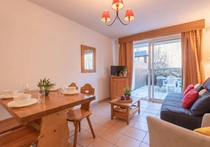 Appartement 4 personnes, terrasse, proche pistes - Vielle Aure - FR-1-296-290