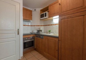 Appartement 4 personnes, terrasse, proche pistes - Vielle Aure - FR-1-296-290