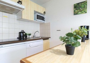 Appartement 8 personnes avec balcon sud, navette télécabine à proximité, Saint-Lary-Soulan - FR-1-296-388