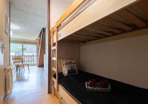 Appartement 8 personnes avec balcon sud, navette télécabine à proximité, Saint-Lary-Soulan - FR-1-296-388