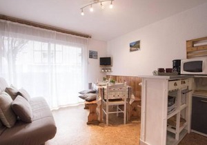 Appartement cosy 4 pers, parking, St Lary Village - FR-1-296-224
