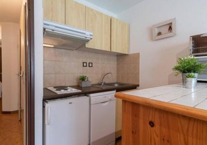Appartement près télécabine, animaux admis, parking inclus pour 4 personnes à Vielle Aure - FR-1-296-206