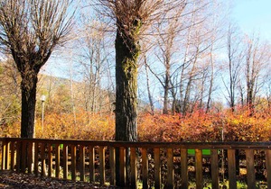 Chalet in Barcelonnette near golf, 3 bedrooms, up to 8 people