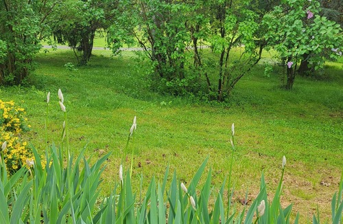 Boulazac-Isle-Manoire Apartment | 10 minutes from Périgueux! New RDJ apartment for two in total serenity
