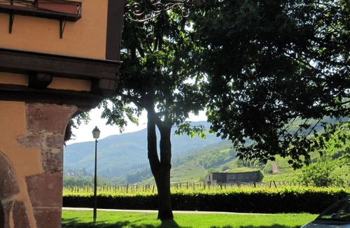 Ammerschwihr Apartment | 2ed-Face Vosges,im Süden,Herz Weinberg,Ruhig,WiFi by Interhome