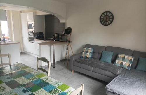 Epinal Apartment | A l'ombre du Lilas 3 chambres - terrasse - possibilité Spa privatif sur place - possibilité piscine située à 20 minutes