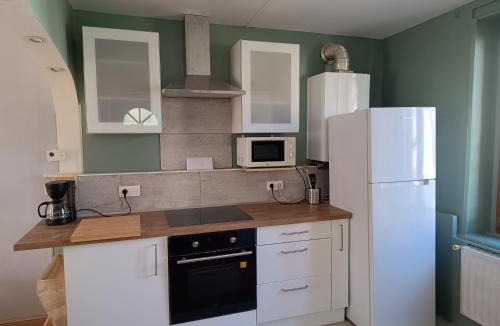 Epinal Apartment | A l'Ombre du Lilas II - terrasse - Possibilité spa privatif et piscine