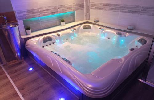 Epinal Apartment | A l'Ombre du Lilas II - terrasse - Possibilité spa privatif et piscine