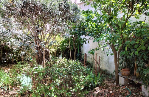 Cuers House | AC 3-bedroom house with terrace and shady garden - Dodo et Tartine