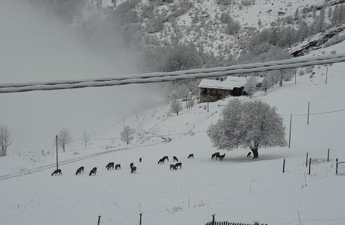 Canosio Bed & Breakfast | Agri-b&b Lou Col