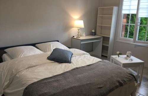 Thomery Apartment | Ambiance Seine, appartement sympatique en bord de Seine - Cygne