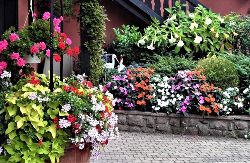 Bergheim Apartment | Apartment 1: Apartment in private property with quiet courtyard