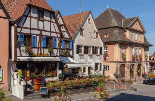 Dambach-la-Ville Apartment | Apartment in Alsace near Haut-Koenigsbourg