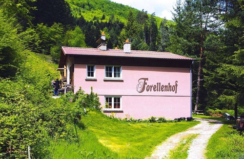 Pays de Phalsbourg Apartment | Apartment in Alsace with Nature Retreat
