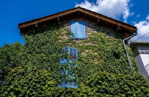 Clans Apartment | Apartment 'Le Jardin Des Oiseaux' with Shared Garden