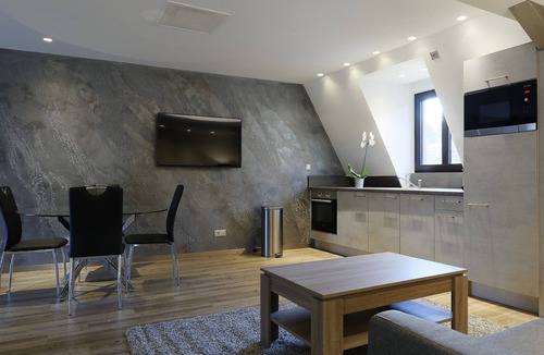 Ribeauville Apartment | Apartment-Luxury-Ensuite with Shower-Mountain view