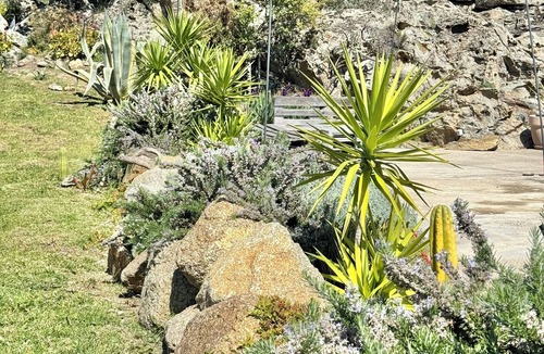 Figarella Apartment | Apartment n°92 Belombra 10mn from St Florent with garden and shared pool