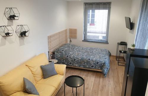 Raon-l'Etape Apartment | Appartement agréable en plein cœur de ville