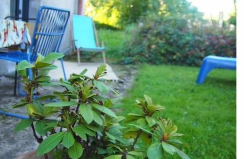 Senones Apartment | Appartement Cosy Calme & Central