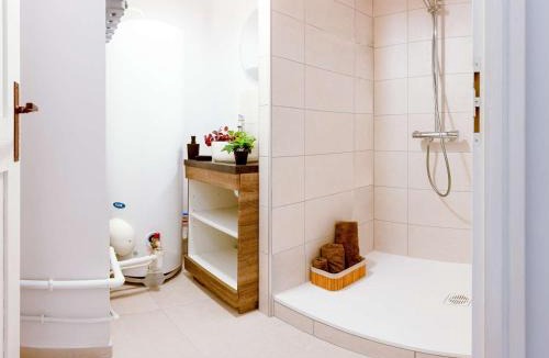 Saint-Lary-Soulan Apartment | Appartement de Standing à Saint Lary Village - 8 personnes - WIFI - FR-1-296-475
