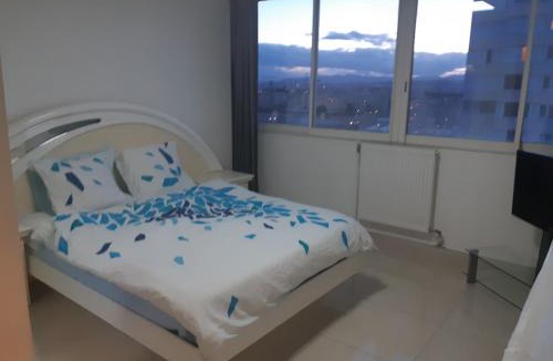 Cusset Apartment | Appartement Laurent Bonnevay