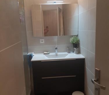 Cusset Apartment | Appartement Laurent Bonnevay