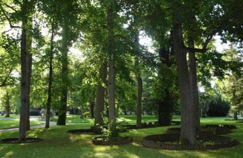 Vittel Apartment | Appartement lumineux 4* pour 2 à Vittel, proche thermes, WiFi, parking gratuit - FR-1-589-745