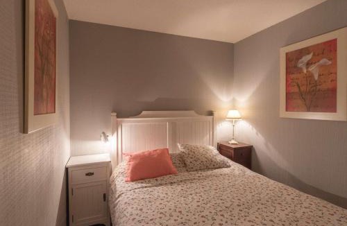 Pla d'Adet Apartment | Appartement pour 6 pers. proche des pistes de ski - FR-1-296-375