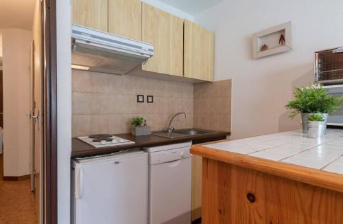 Vielle-Aure Apartment | Appartement près télécabine, animaux admis, parking inclus pour 4 personnes à Vielle Aure - FR-1-296-206