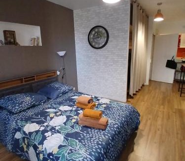 Quartier du Panier Apartment | appartement renové , quartier historique du panier , centre-ville