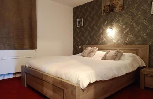 Romorantin-Lanthenay Hotel | Astrotel Romorantin-Lanthenay Soirée étape