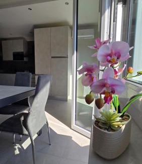 Borgo San Dalmazzo Apartment | attico giulietta apartment borgo san dalmazzo