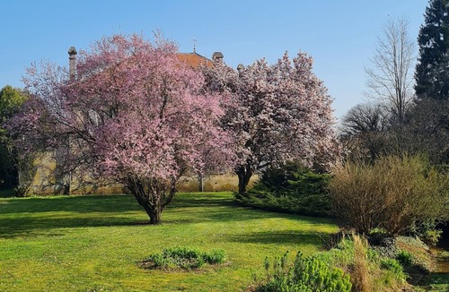 Rachecourt-Suzemont House | Authentic manor house with beautiful, wooded park-14 sleeping places