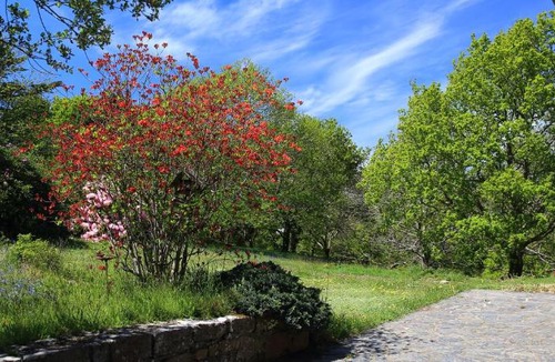 Ploulech Bed & Breakfast | Aux Arbres Chanteurs