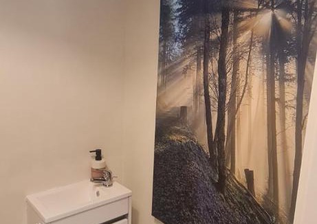 Thannenkirch Apartment | Avalon II & Avalon III combinés